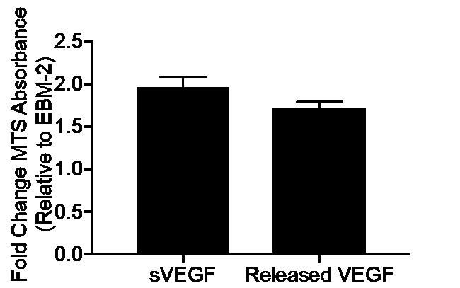 Release Controlled VEGF