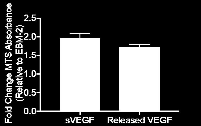 protease AF488-VEGF