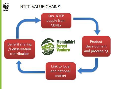 ROAD MAP AND NTFP