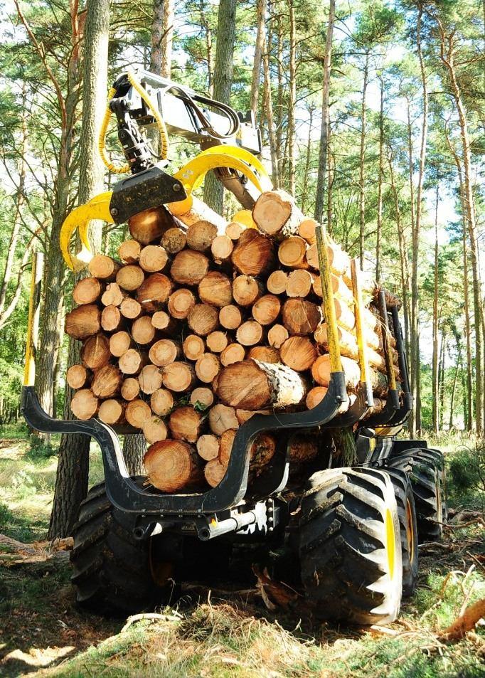 Pulp Transition to Bioenergy Economics The transition to bioenergy economics is happening with Europe at the forefront and other first world jurisdictions following suit Historically, wood has been