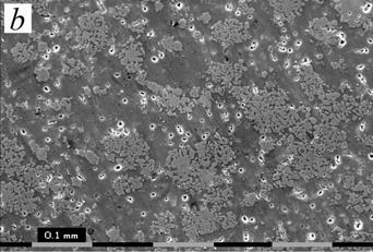Fig.4. Microstructure of alloys sintered at 600 С.
