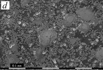 microstructure of the alloys sintered at 600 С is