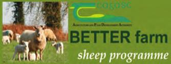 Appendix 3 Teagasc BETTER Farm Sheep Programme BETTER Sheep Farm Programme The BETTER Sheep Farms programme is an integral part of the overall Teagasc response to the Malone Report on the sheep