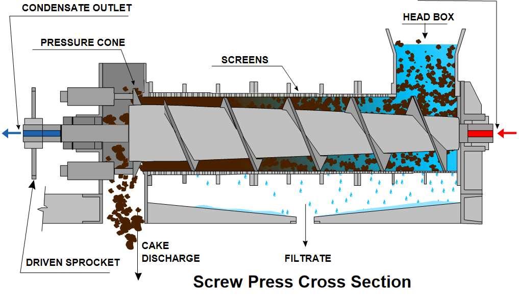 SCREW PRESS CROSS SECTION STEAM INLET