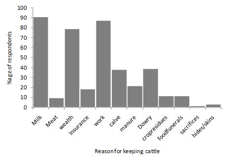 Page 8 of 12 Figure 4: Reasons for keeping cattle in the two districts From the ranking of reasons for keeping male cattle (Table 6), it can be seen that farmers keep these animals (in descending