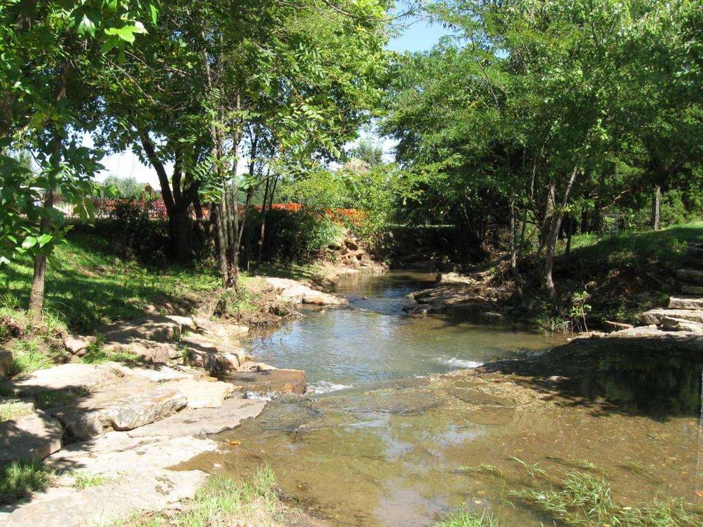 Niokaska Creek at Gulley Park Upstream -