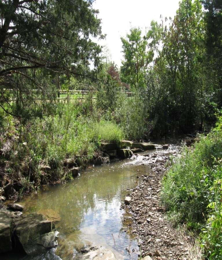 Niokaska Creek at Gulley Park Mid