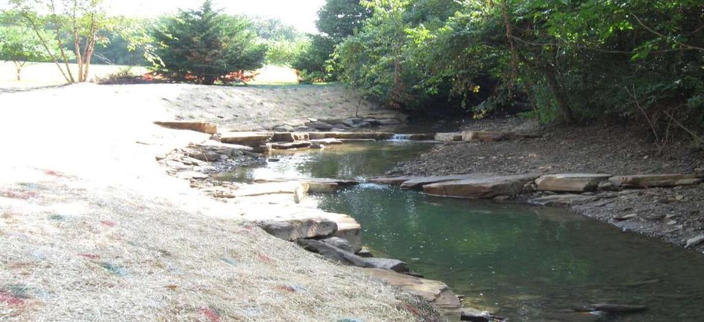 Niokaska Creek at Gulley