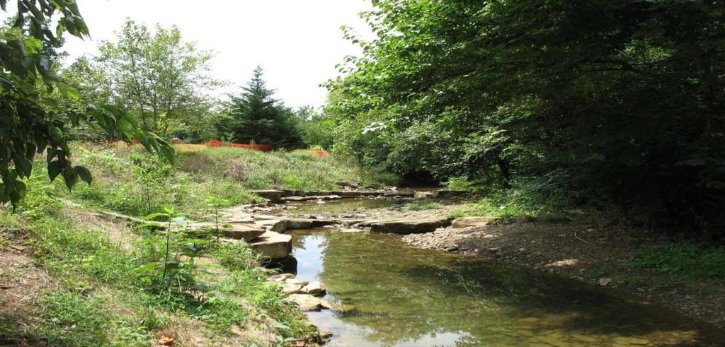 Niokaska Creek at Gulley