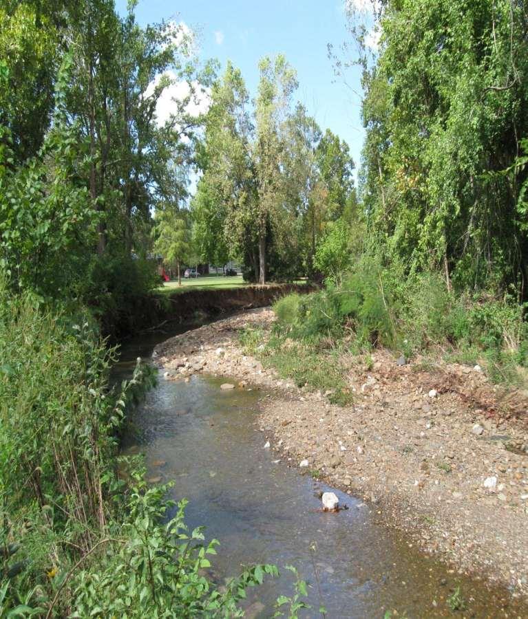 Niokaska Creek at Sweetbriar Park