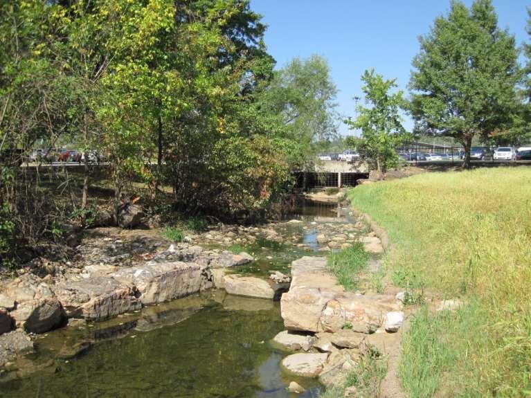 Mullins Branch Upstream Section