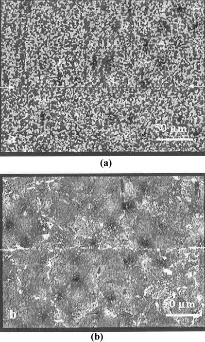 compared with specimen 1. This was attributed to grain boundary pinning effect due to the formation of fine carbides from the alloying elements Nb, Ti and V.
