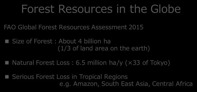 Forest Resources in the Globe FAO Global Forest Resources Assessment 2015 Size of Forest:About 4 billion ha (1/3 of land area on the earth) Natural Forest Loss:6.