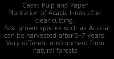 Case: Pulp and Paper Plantation of Acacia trees after clear cutting.