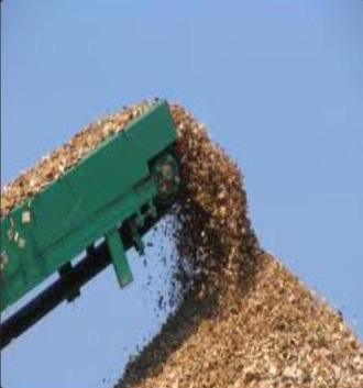 Woody Biomass and/or Green Waste Materials