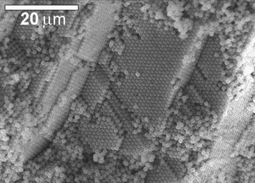 F. Meseguer et al. / Colloids and Surfaces A: Physicochem. Eng. Aspects 202 (2002) 281 290 283 sion of smaller silica particles (around 500 nm in size) that act as seeds in the synthesis process.