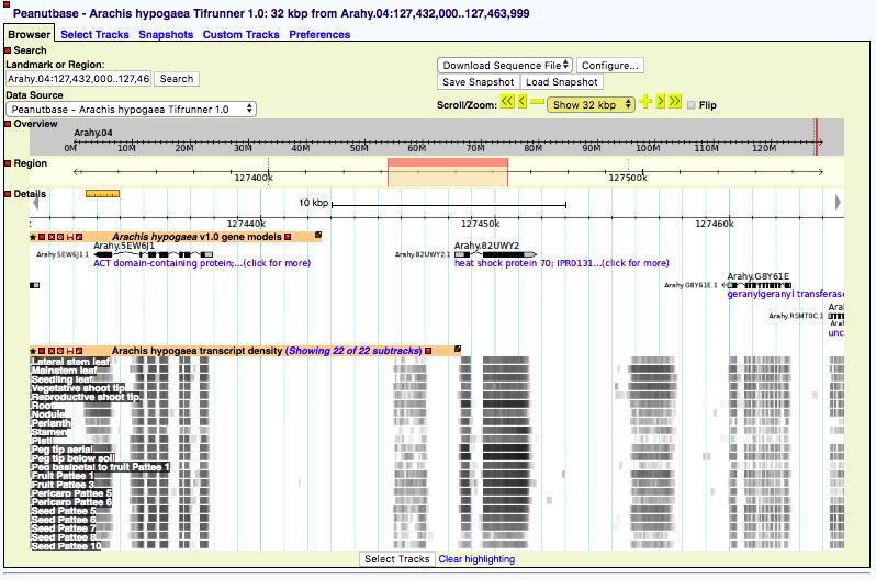 Genome assembly browsers Gene