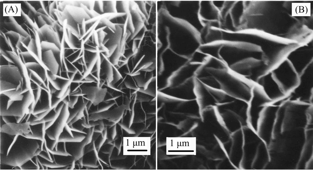 Interestingly, the plate-like morphologies of the Mg(OH)2 nanocrystals could also retained to the final MgO nanocrystals (Fig.8(B)) after the subsequent calcinations process. FIG.