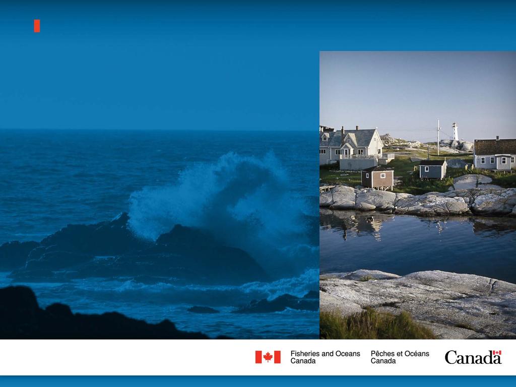 Market Access and Fish and Seafood Sustainability: A Fisheries and Oceans Canada Perspective Ms.
