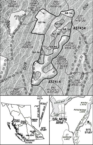 FIGURE 1 Location and layout of