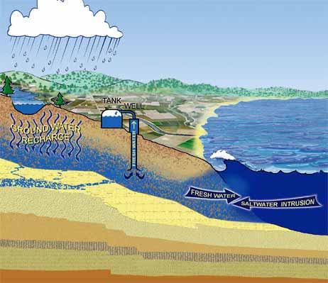 Coastal Aquifer Issues Major groundwater management issues in coastal aquifers Decline of