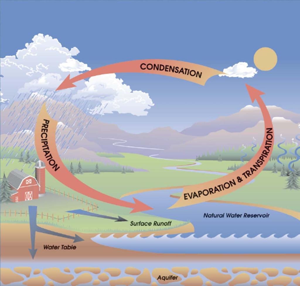 Modeling Basics Hydrologic Cycle Questions Is there enough water to sustain expected uses now and in the future?