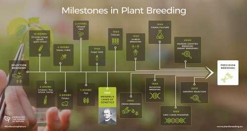 The Breeders Toolbox Why talking about Plant Breeding Innovation? 5 We need excellence in basic and applied plant science!