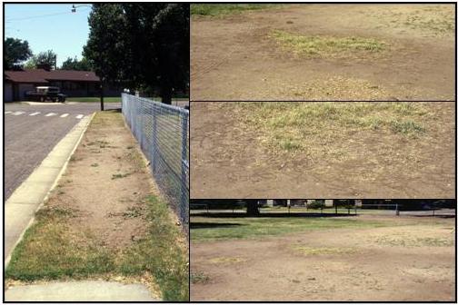 Figure 3 For individuals who do not detect early problem areas, they are jolted into reality when BARE GROUND captures their attention (Figure 4).