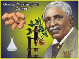 George Washington Carver Late 1890s Soil improvement and crop rotation Use of legumes