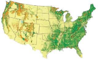 US Forest Resource US has >750M acres of forest land US Forest Cover and Ownership >35% of the landmass and 25% of global industrial wood production US forests are growing Protected by