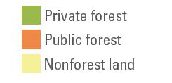 Favourable climate supports short timber rotation Significant available volumes Current total harvest is 300Mt 350Mt pa Forest residuals are underutilised Forest industry closures provide