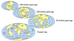 the same fossils being found on continents that are now widely separated Wenger s idea not accepted at the time Evidence to support Wenger s idea built up (e.g. sea floor spreading) and now the theory of plate tectonics is accepted 1.