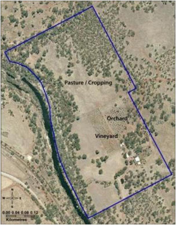 Figure 23: Aerial photograph of the property (blue property border) which consists of a vineyard with a citrus orchard to the east and pasture/cropping field to the north, west and
