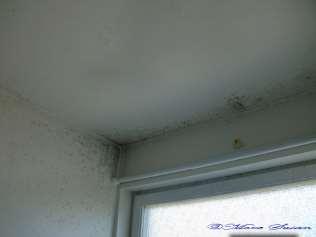 Mold on thermal bridges Supply air grilles are closed off (draught).
