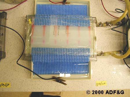 Electrophoresis Create a gel: matrix with pores through which electrolyte solution and molecules can flow Anode and cathode
