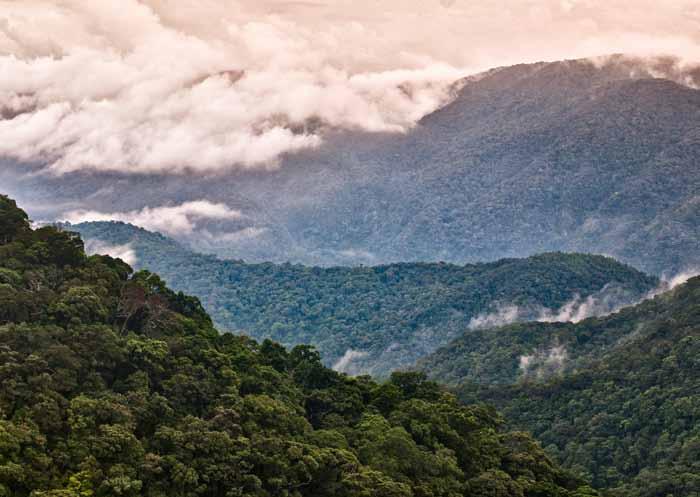 CarBi: connecting forests, species and livelihoods Our Carbon and Biodiversity Project (CarBi) is one of the most ambitious we ve ever undertaken.