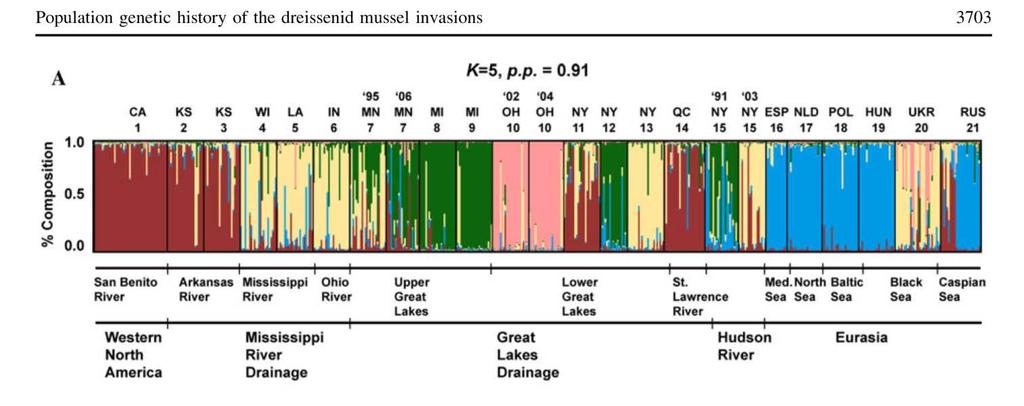 Data analysis: genetic clustering Duluth Harbor From Brown and Stepien (2011) Lake Pepin North