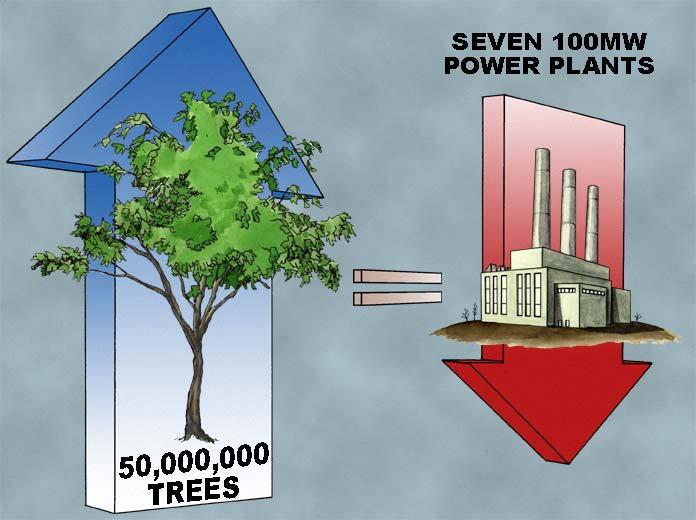 50 Million New Trees East-west shade, 15 yr 6,400 GWh/yr, $485M 4% peak load