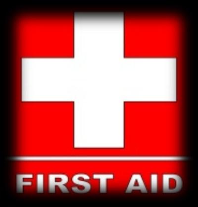 Page 14 Turning Points in First Aid & Health and Safety Half day Workshops and Full day Courses It is essential that all organisations have a trained First Aid person, and that this person needs to