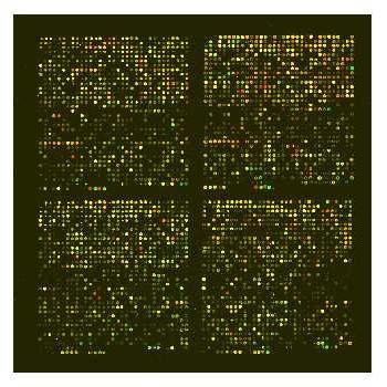 8 2 DNA Microarray Technology for a four-pin printer, the spots on the array are printed in four rectangular grids corresponding to the rectangular arrangement of the robotic pins (Figure 2.2).