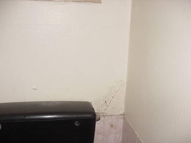 hand basins Ingrained dirt and floor paint missing Damp to one WC Deep clean Deep clean Joinery: