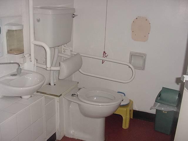 LEFT HAND SIDE Less Able/Disabled Toilet Ceilings: DESCRIPTION CONDITION ACTION REQUIRED Painted with a loft hatch (roof area not inspected) Dated Walls: Tiled