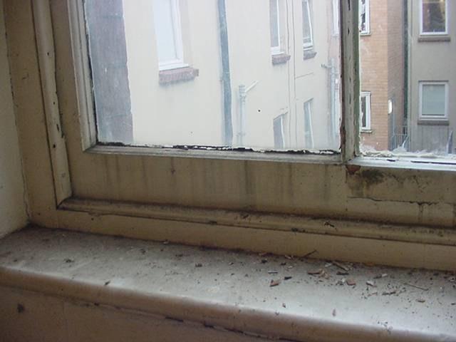 Joinery: Windows Clean and redecorate Deterioration to windows Services: