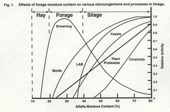 2 4. Fundamental strategy in Preservation of Silage In silage-making, the forage is stored in oxygen-free (anaerobic)