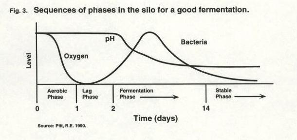 7 E. Silage Management 1. Dry Matter Losses must be minimized a.