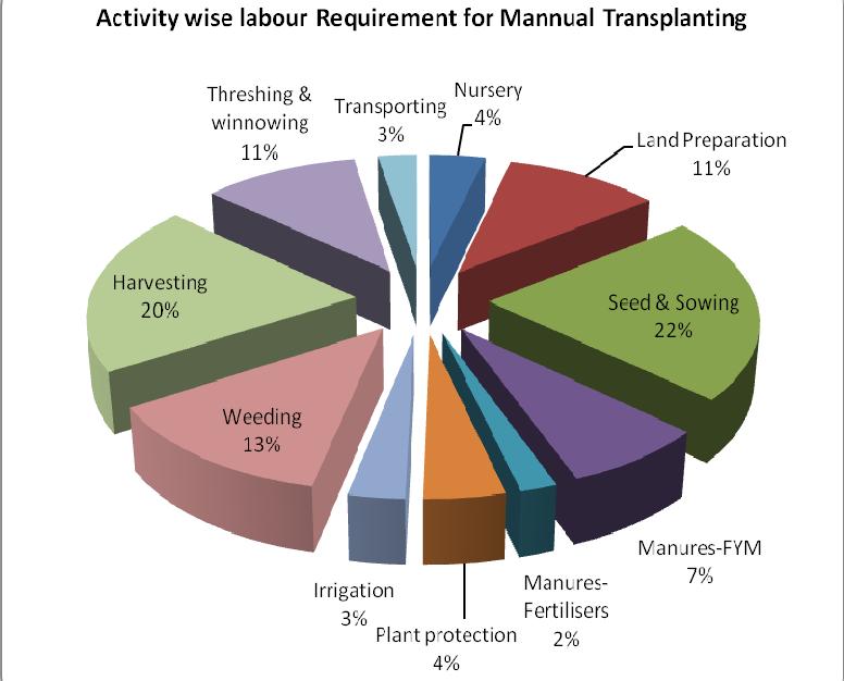 Activity wise labour requirements An attempt is made to get the difference in labour requirement at each stage of rice cultivation under different methods.