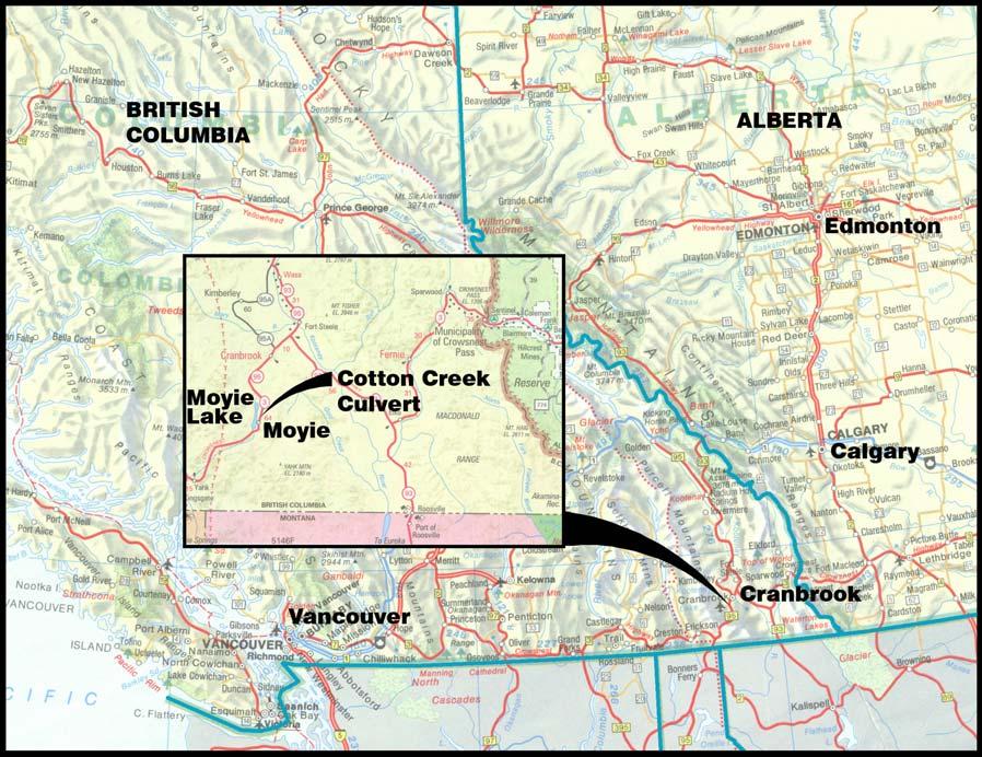 FIGURE 1 - LOCATION MAP Moreover, the cast-in-place concrete box culvert that was constructed in 1909 under the CN Railway prevented fish passage from the lake to the portion of the Cotton Creek