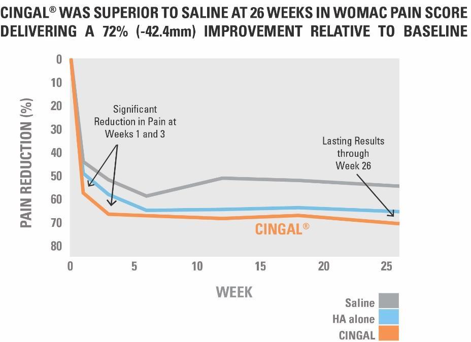 CINGAL: Potential First-in-Class Therapy with 9-Month Extended Pain Relief First CINGAL Phase III Study First Phase III study results: Reduced WOMAC Pain by 70% at 12 weeks and 72% at 26 weeks
