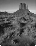 Desert Biomes Semi-Arid & Cold Desert western N.