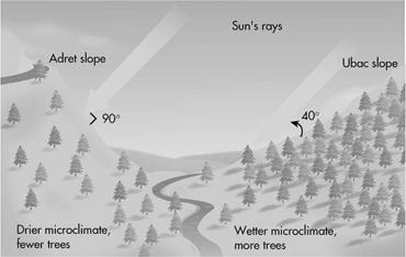Slope & Aspect Vertical Zonation Change in vegetation based on